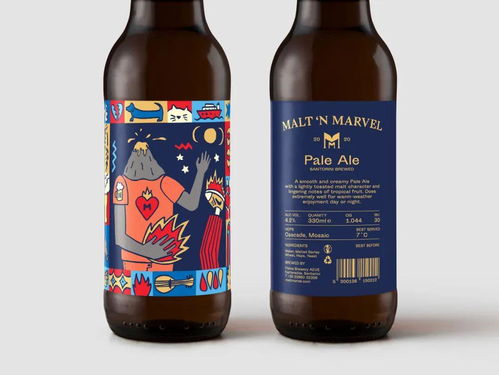 小眾精釀啤酒產(chǎn)品包裝設(shè)計(jì)